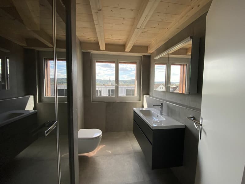 6 1/2-Zimmer-Doppeleinfamilienhaus mit nutzbarer Landfläche (10)