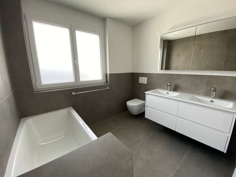 6 1/2-Zimmer-Doppeleinfamilienhaus mit nutzbarer Landfläche (9)