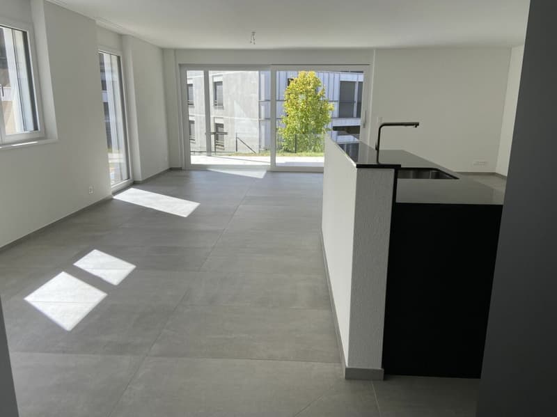 6 1/2-Zimmer-Doppeleinfamilienhaus mit nutzbarer Landfläche (3)