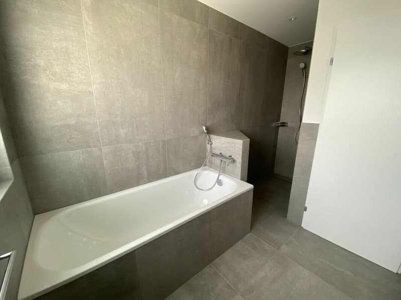 6 1/2-Zimmer-Doppeleinfamilienhaus mit nutzbarer Landfläche (7)