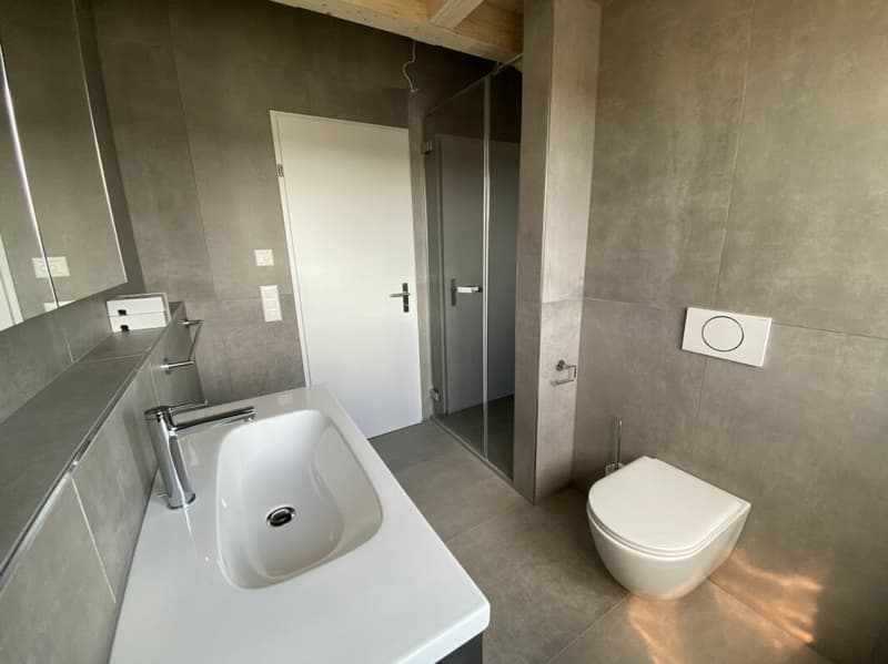 6 1/2-Zimmer-Doppeleinfamilienhaus mit nutzbarer Landfläche (8)
