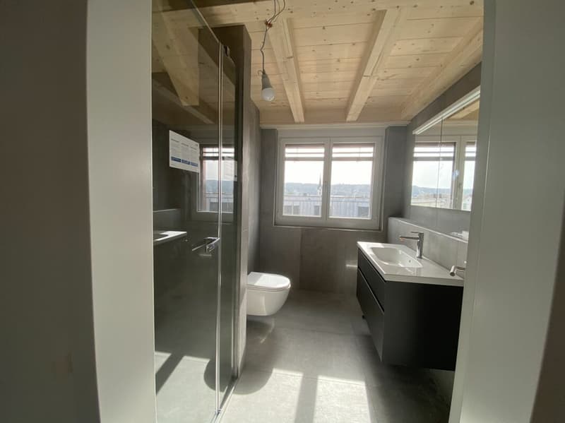 6 1/2-Zimmer-Doppeleinfamilienhaus mit nutzbarer Landfläche (7)