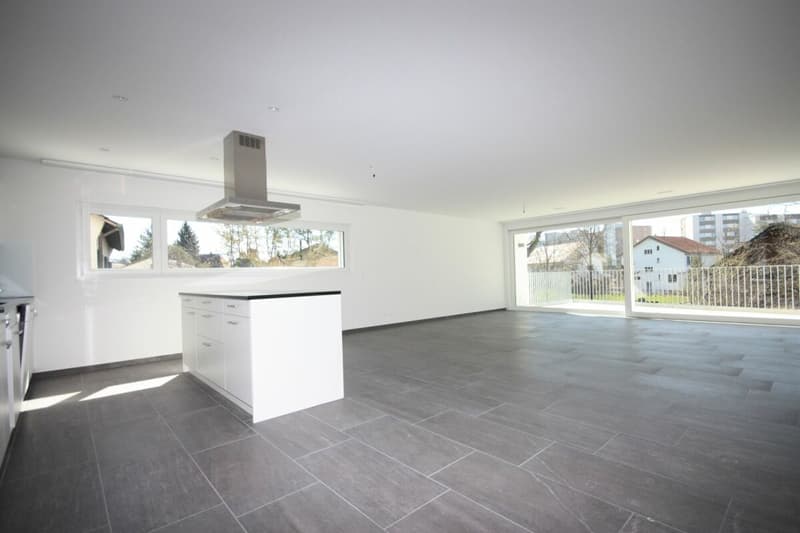 Exclusive 3 1/2 room apartment (3)