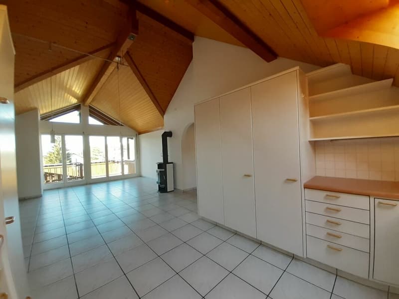3 1/2 Room Attic Apartment (2)