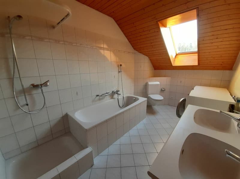 3 1/2 Room Attic Apartment (6)