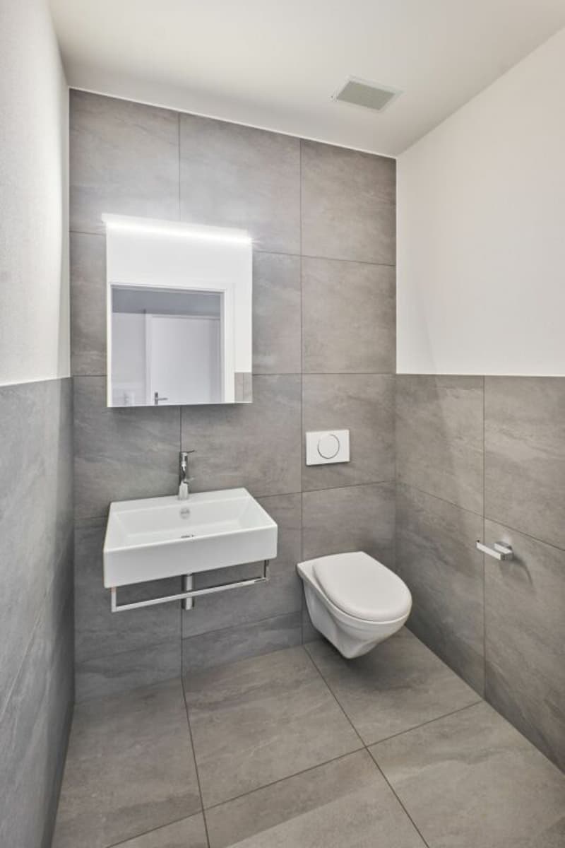 3.5-Zimmer-Dachwohnung mit geräumigem Estrich (8)
