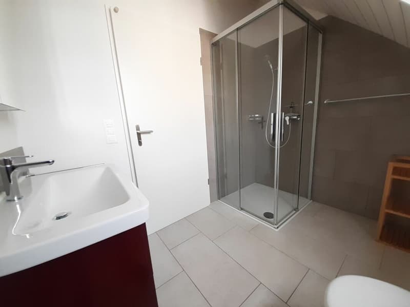 2 1/2 pièces appartement mansardé avec galerie (6)