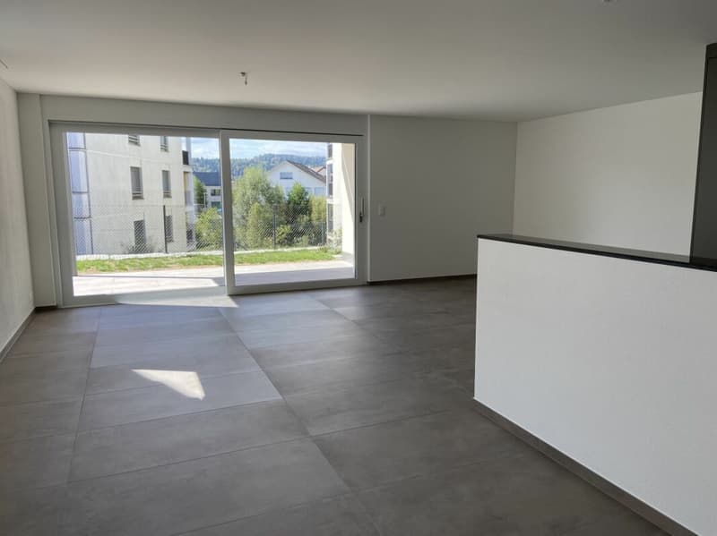 6 1/2-Zimmer-Doppeleinfamilienhaus mit nutzbarer Landfläche (6)