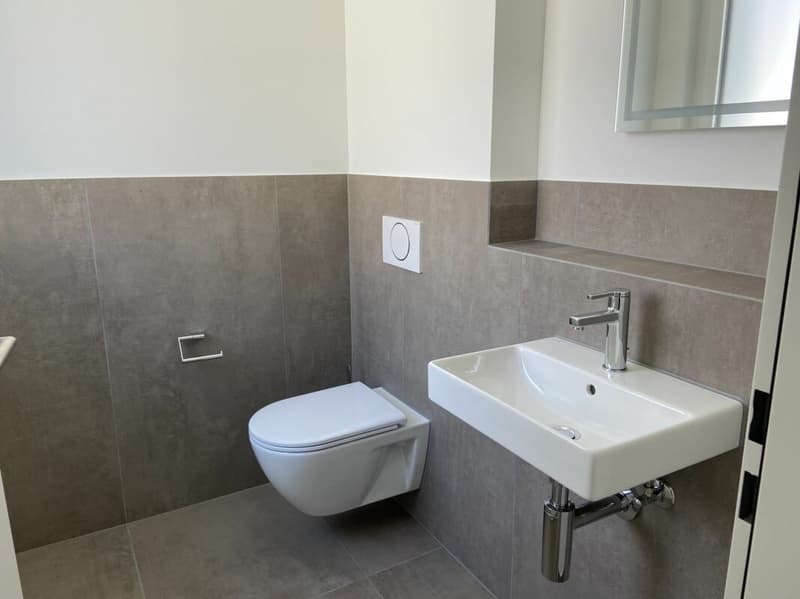 6 1/2-Zimmer-Doppeleinfamilienhaus mit nutzbarer Landfläche (8)