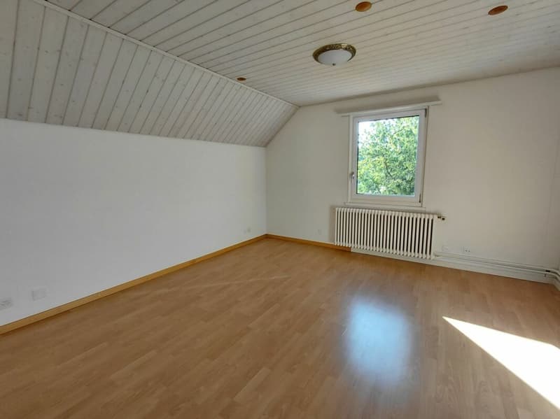 4 1/2 Zimmer-Einfamilienhaus (5)