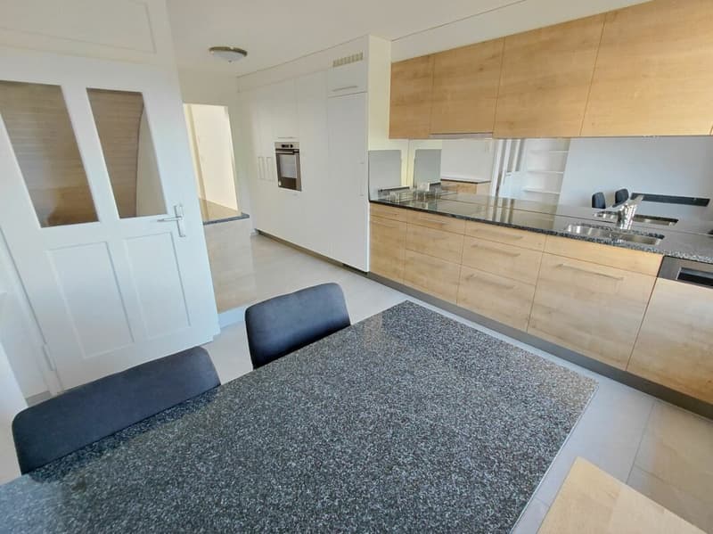 4 1/2 Zimmer-Einfamilienhaus (2)