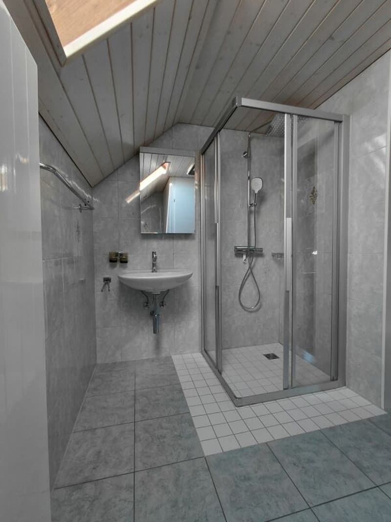 4 1/2 Zimmer-Einfamilienhaus (8)