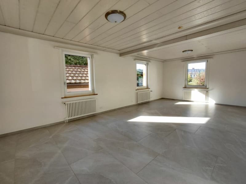 4 1/2 Zimmer-Einfamilienhaus (4)