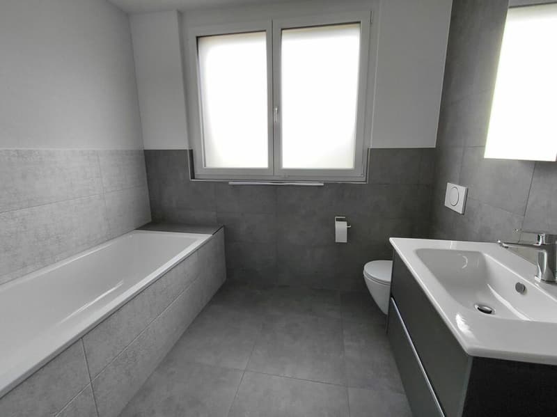 3 1/2 Zimmer-Wohnung (A4) (5)