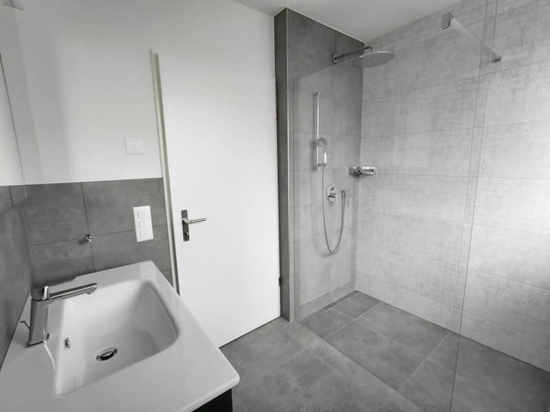 3 1/2 Zimmer-Wohnung (A4) (4)