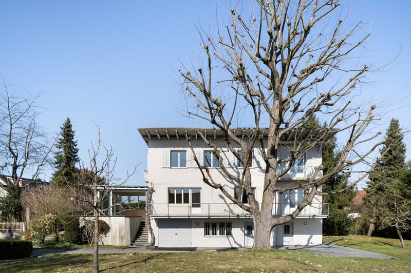 two-story house, white exterior, glass balcony, front yard with a driveway, large tree