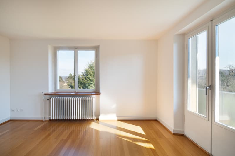 spacious room, white walls, hardwood floors, large windows, double doors, radiator