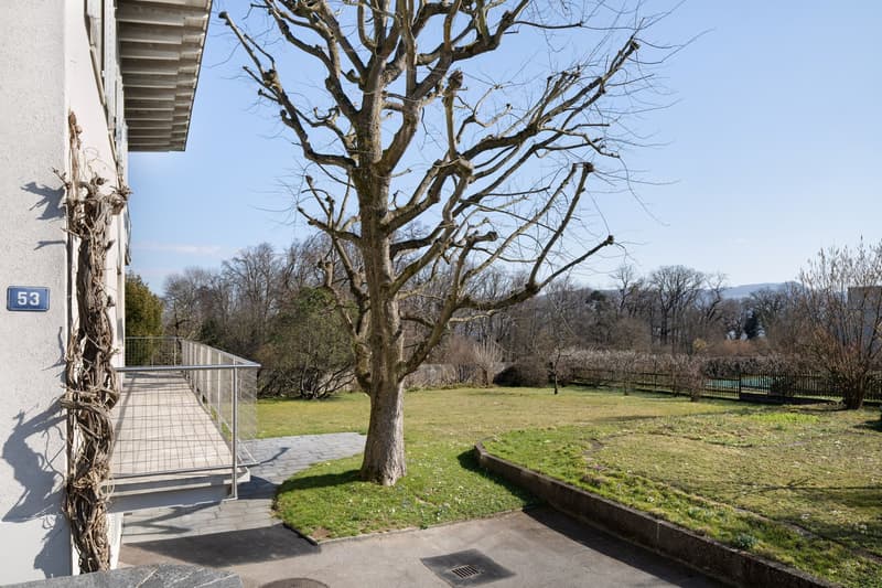 A building exterior with a balcony and a tree in front