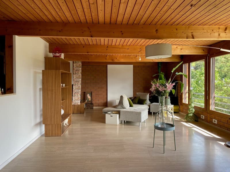 Maison unifamiliale indépendante avec vue spectaculaire (3)