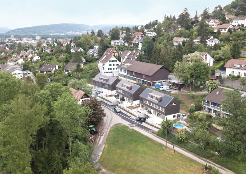 Spacieuse maison unifamiliale de 6,5 pièces à Muttenz (2)