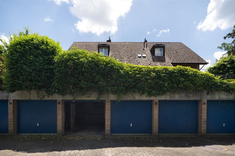 Single-family house with garden and garage box (18)