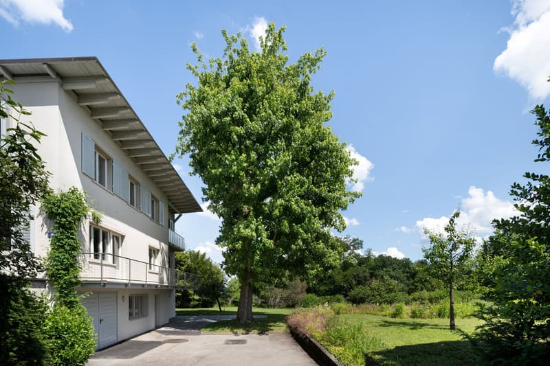 Grosszügiges Einfamilienhaus mit viel Grün und Privatsphäre (1)
