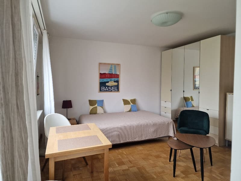 Kompakte Studiowohnung an ruhiger Lage im Kleinbasel (3)