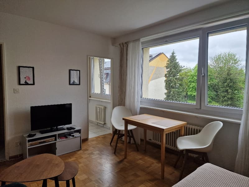 Kompakte Studiowohnung an ruhiger Lage im Kleinbasel (4)