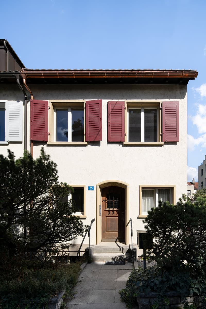 6-Zimmer-Einfamilienhaus mit grossem Garten im Neubadquartier (1)