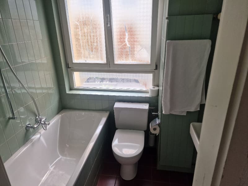 6-Zimmer-Einfamilienhaus mit grossem Garten im Neubadquartier (8)