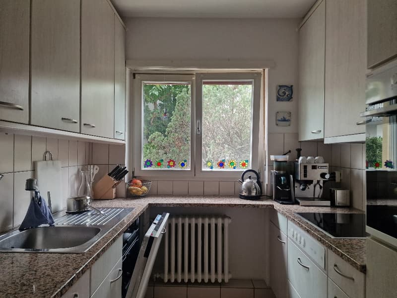 6-Zimmer-Einfamilienhaus mit grossem Garten im Neubadquartier (5)