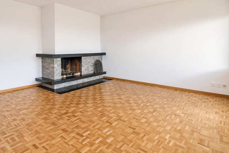 Zentral Wohnen - hoch über Basel und mit Weitblick über den Schützenmattpark (8)