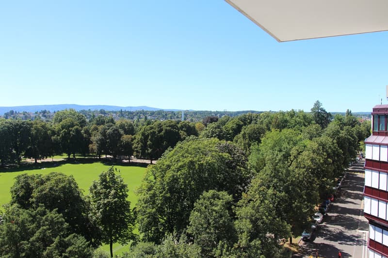 Zentral Wohnen - hoch über Basel und mit Weitblick über den Schützenmattpark (2)