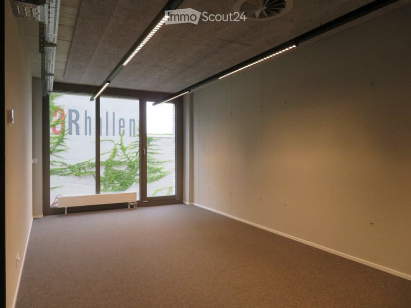 empty room, white walls, carpet floor, large windows, ceiling lights