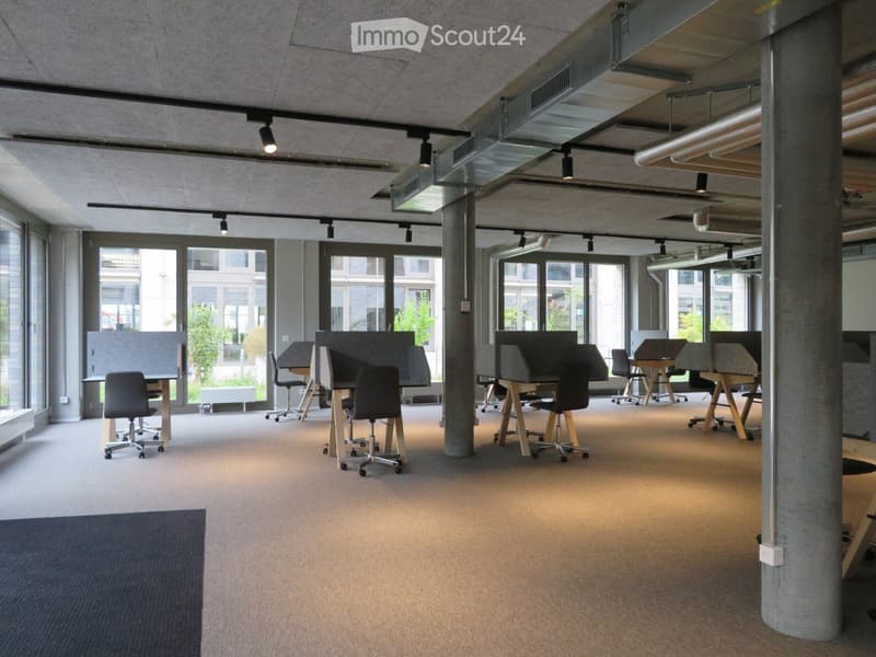 modern office design, carpeted floor, adjustable desks, metal columns, large windows
