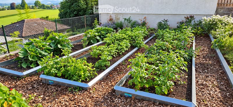 Gartenbeet