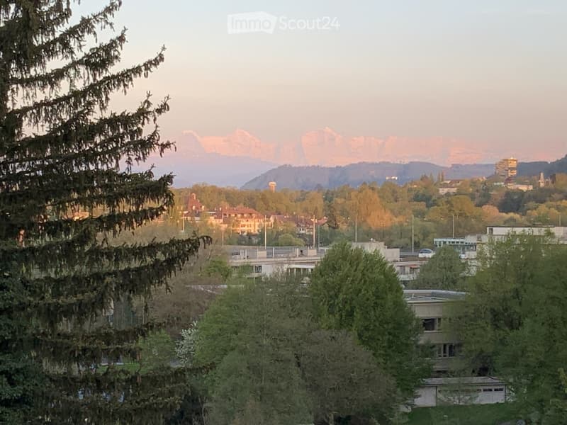 Ausblick