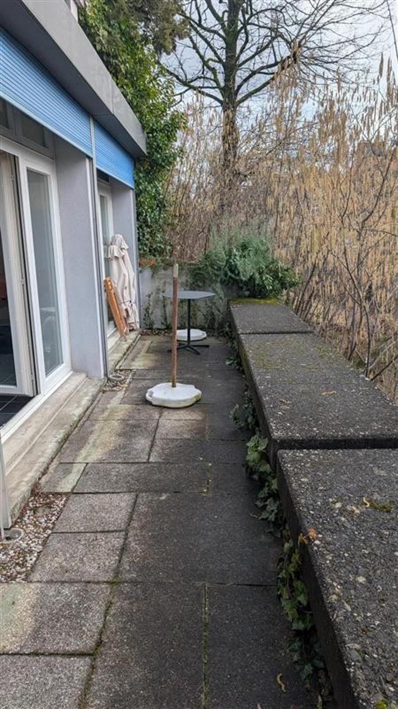 Studio with a view of the Zürichberg in Zurich for rent from July 1, 2026 (4)