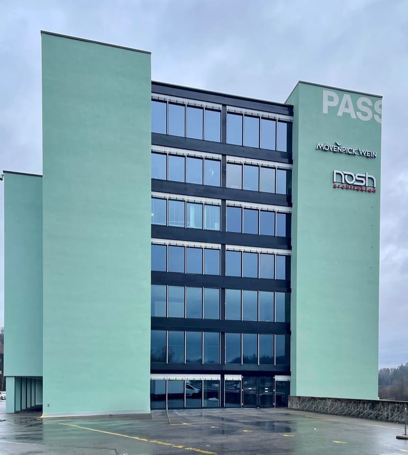 Spacious commercial spaces for rent (1)