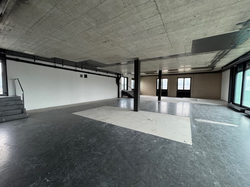 Spacious commercial spaces for rent (2)