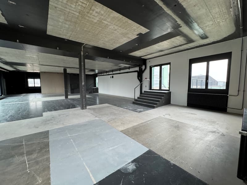 Spacious commercial spaces for rent (3)