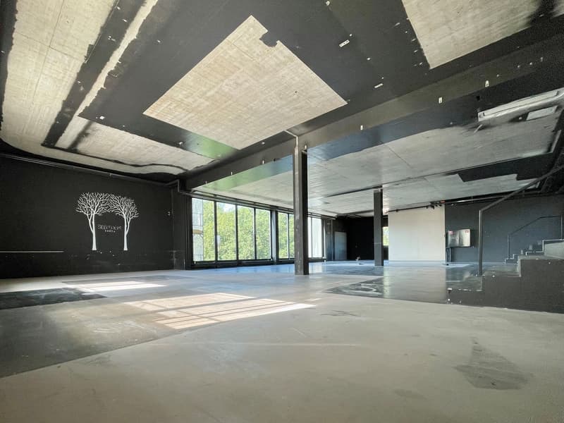 Espaces de bureau spacieux à louer (4)