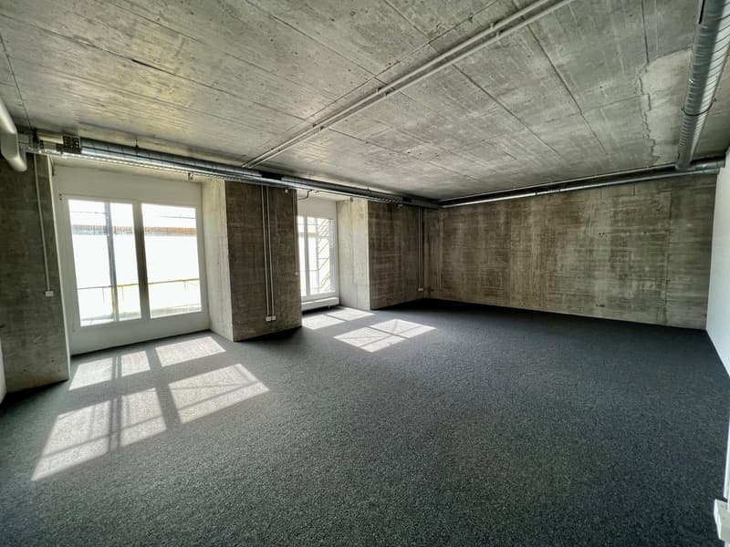 Espaces de bureau spacieux à louer (6)
