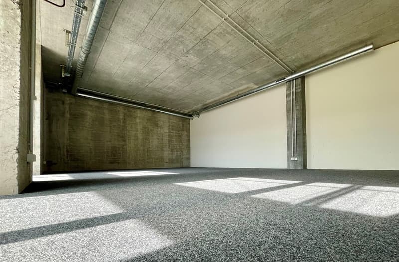 Espaces de bureau spacieux à louer (2)