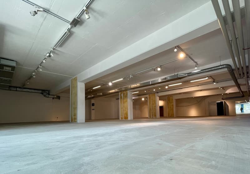 Ampio spazio commerciale in affitto (2)