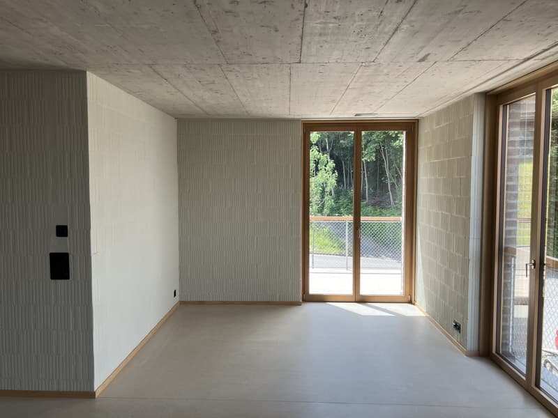 3 ½ locali appartamento, 8810 Horgen (3)