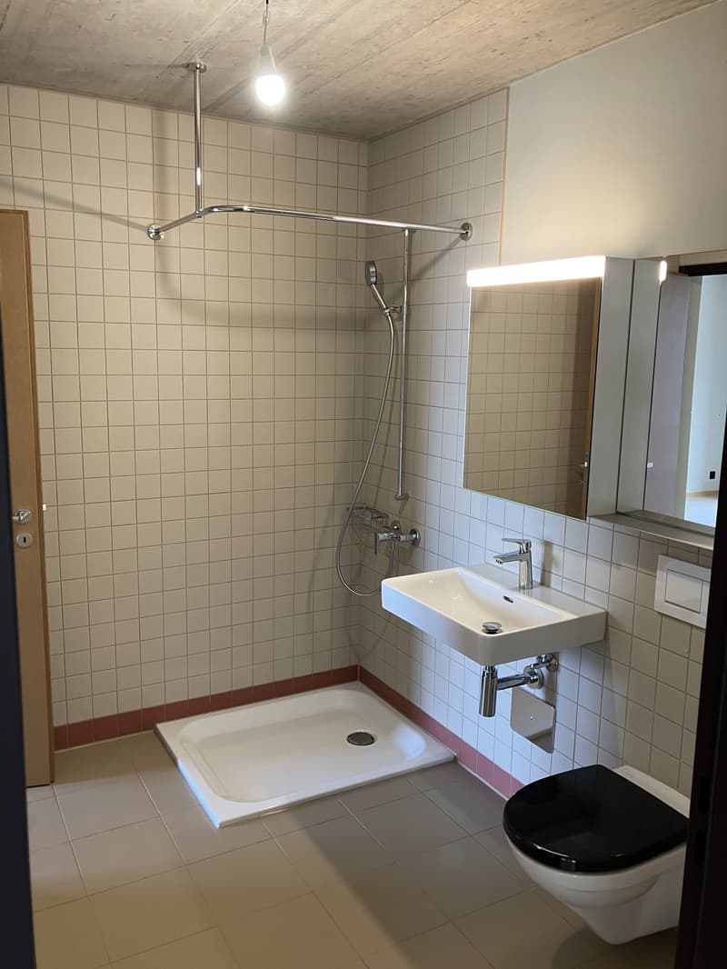 3 ½ locali appartamento, 8810 Horgen (4)
