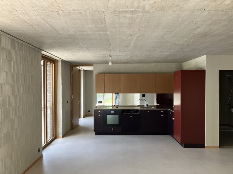 3 ½ locali appartamento, 8810 Horgen (2)