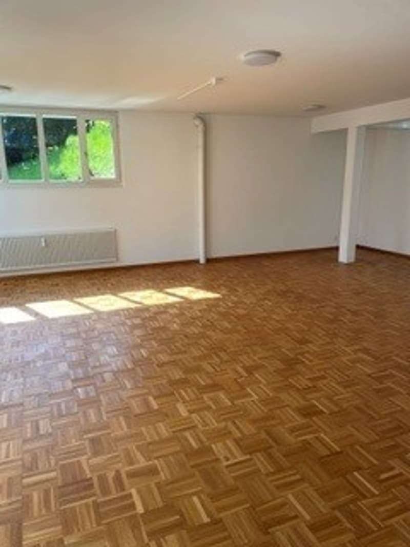 Bright studio in prime location in Fällanden for rent (5)