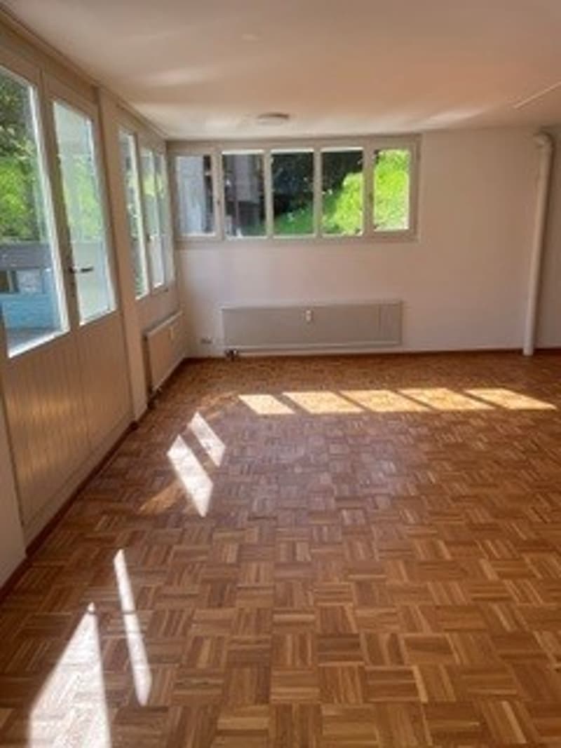 Bright studio in prime location in Fällanden for rent (4)
